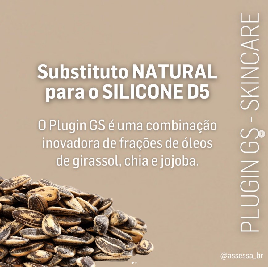 PLUGIN GS - Assessa