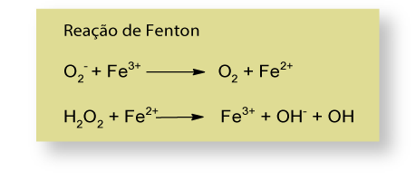 FIDERDTOX-reacao